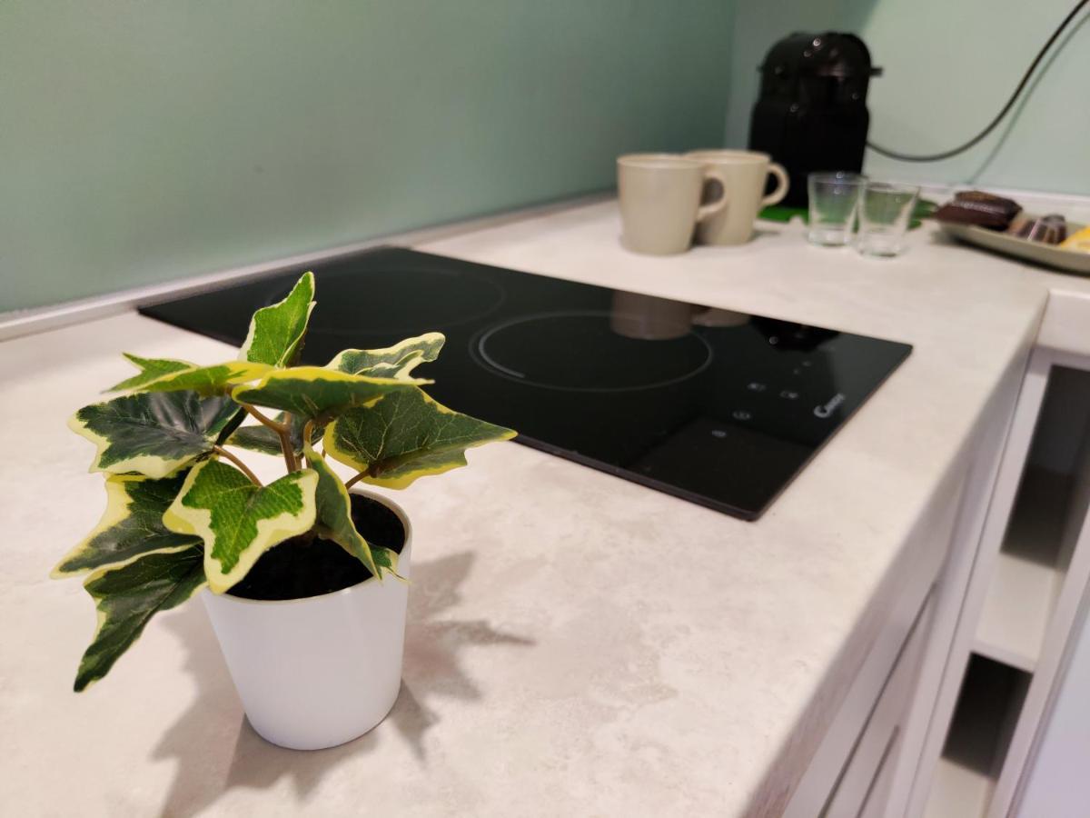 The Green Apt - Stylish And Confortable Large Studio Close To Metro * Mailand