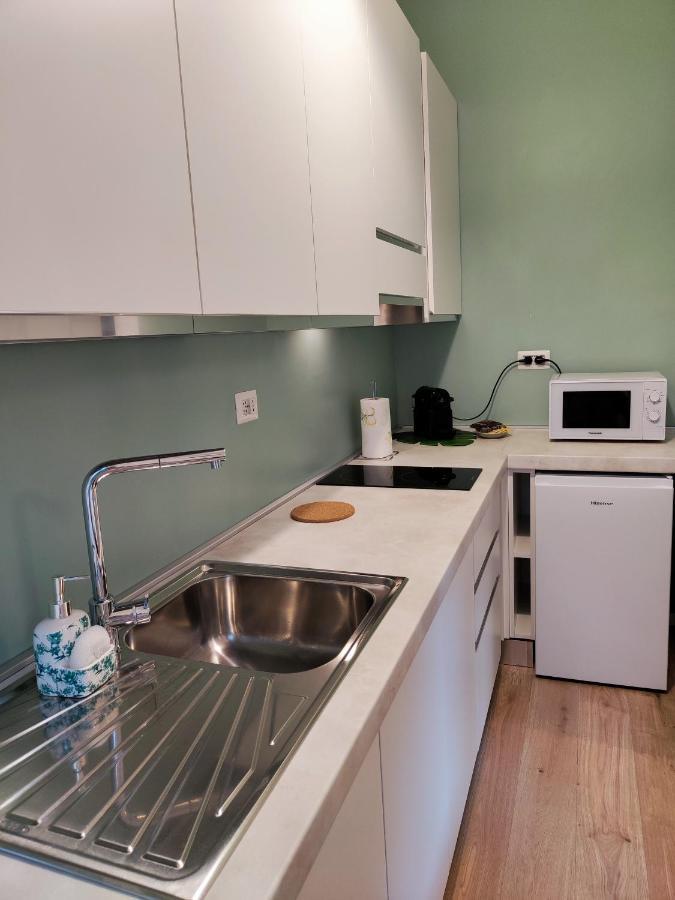 The Green Apt - Stylish And Confortable Large Studio Close To Metro Apartment Mailand